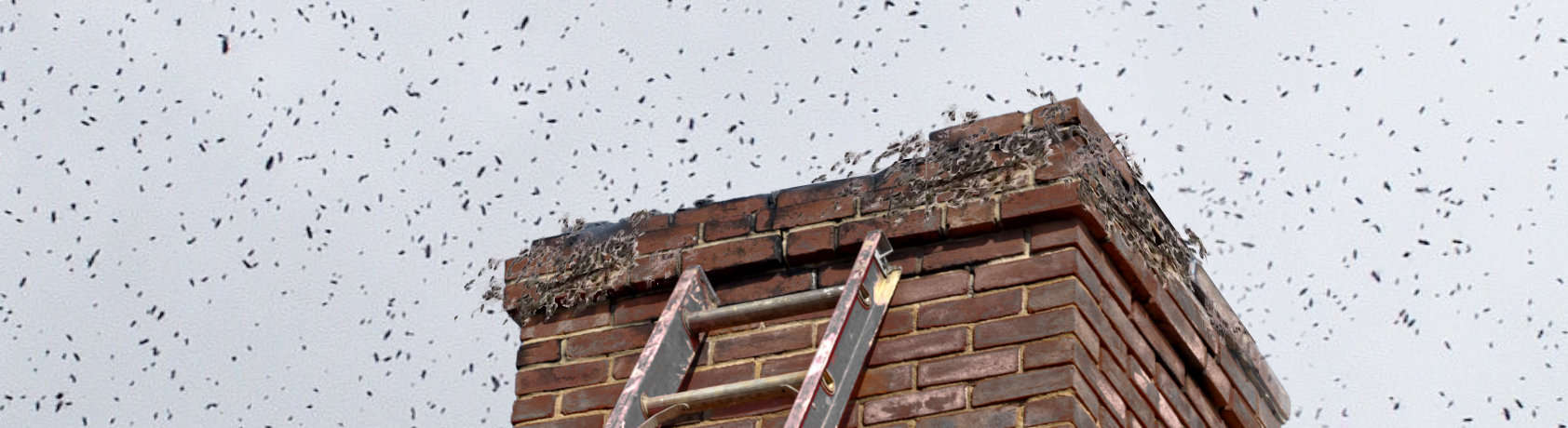 Bees In Chimney Removal Specialists For Uk Households Businesses